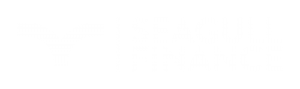 Seagull Finance in Brighton Logo